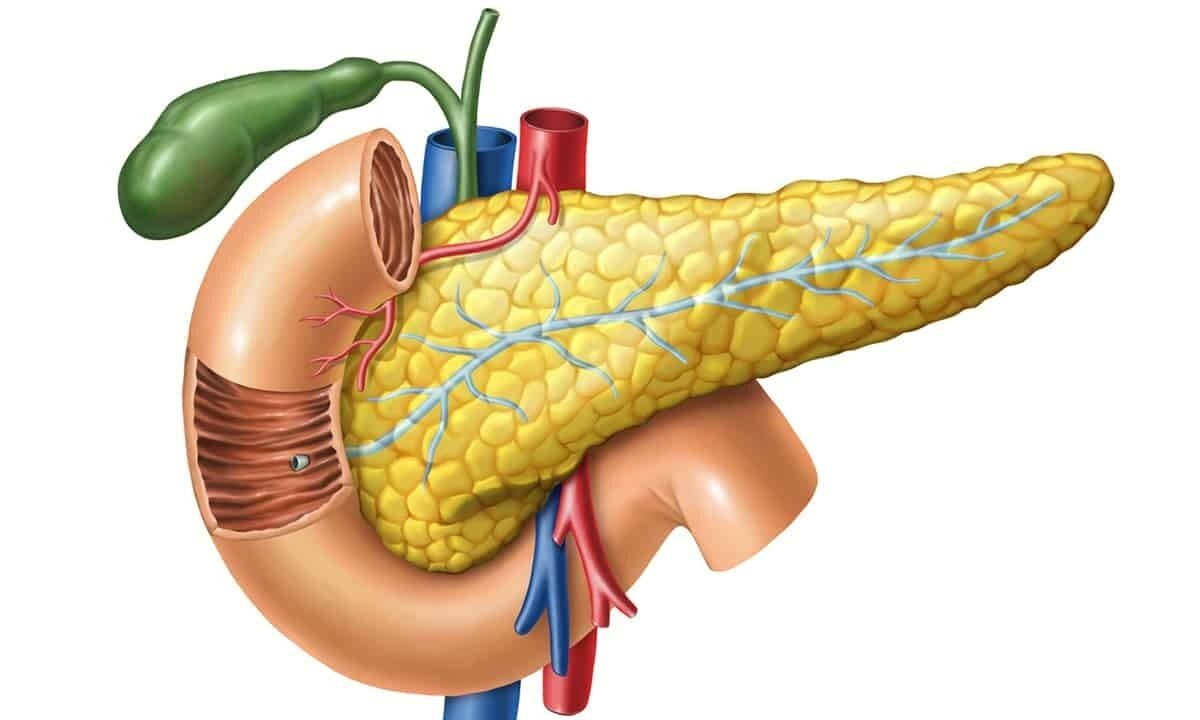 Understanding Pancreatitis: Causes, Symptoms & When to See a GI Surgeon in Hubli